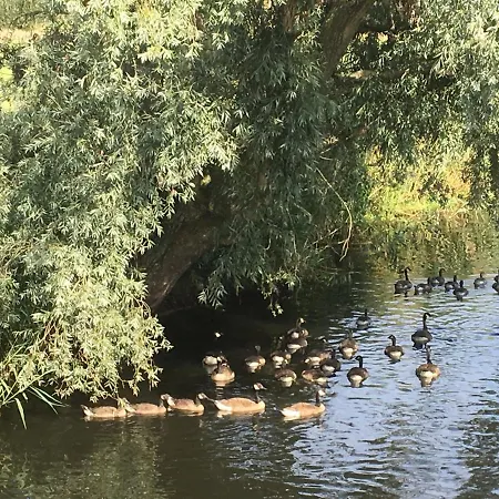 De Weije Wereld-2